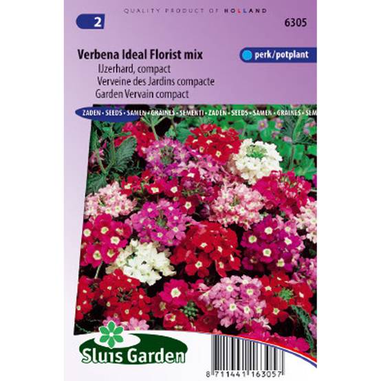 Graines de Verveine des Jardins compacte Ideal Florist en mélange le sachet de 150 graines environ (0,4g)