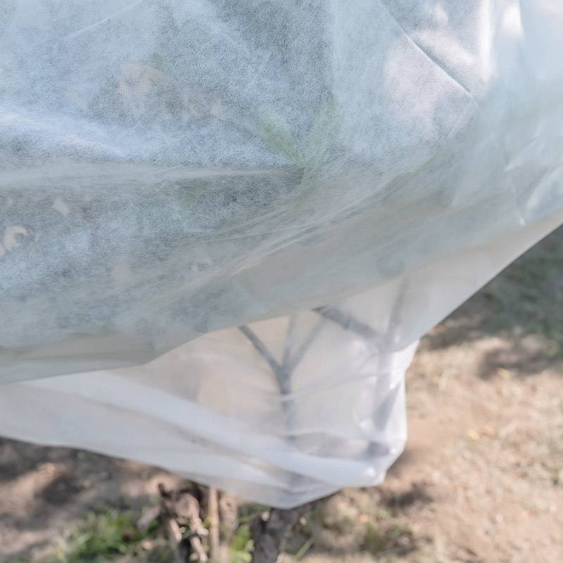 Sans Marque - Voile d'hivernage - 200 x 500 cm - Protection pour plantes - Image 2