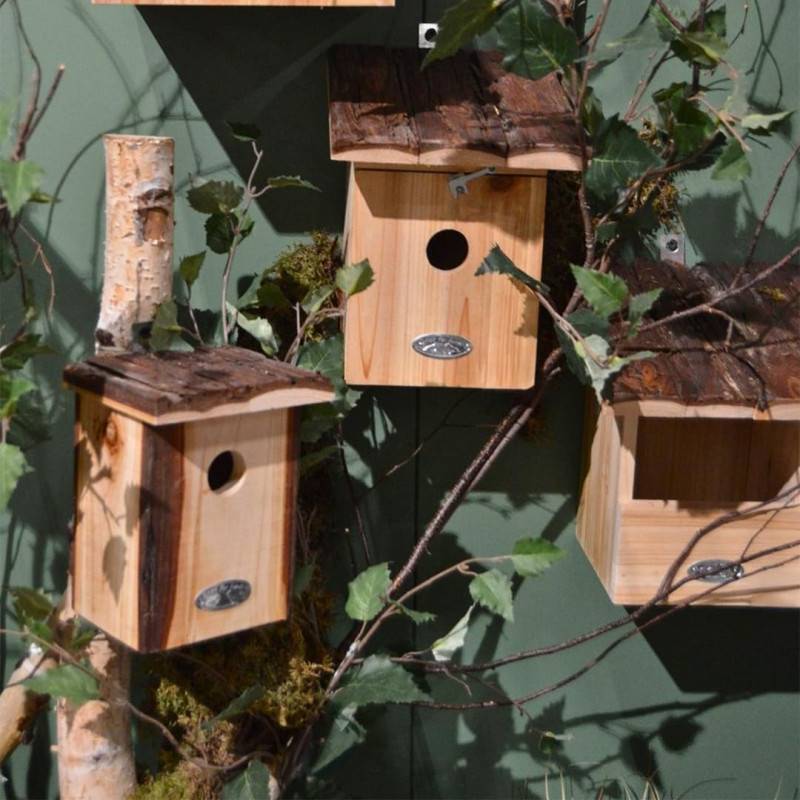 Esschert Design - Nichoir pour oiseaux mésange bleue avec toit écorce - Esschert Design - Image 2