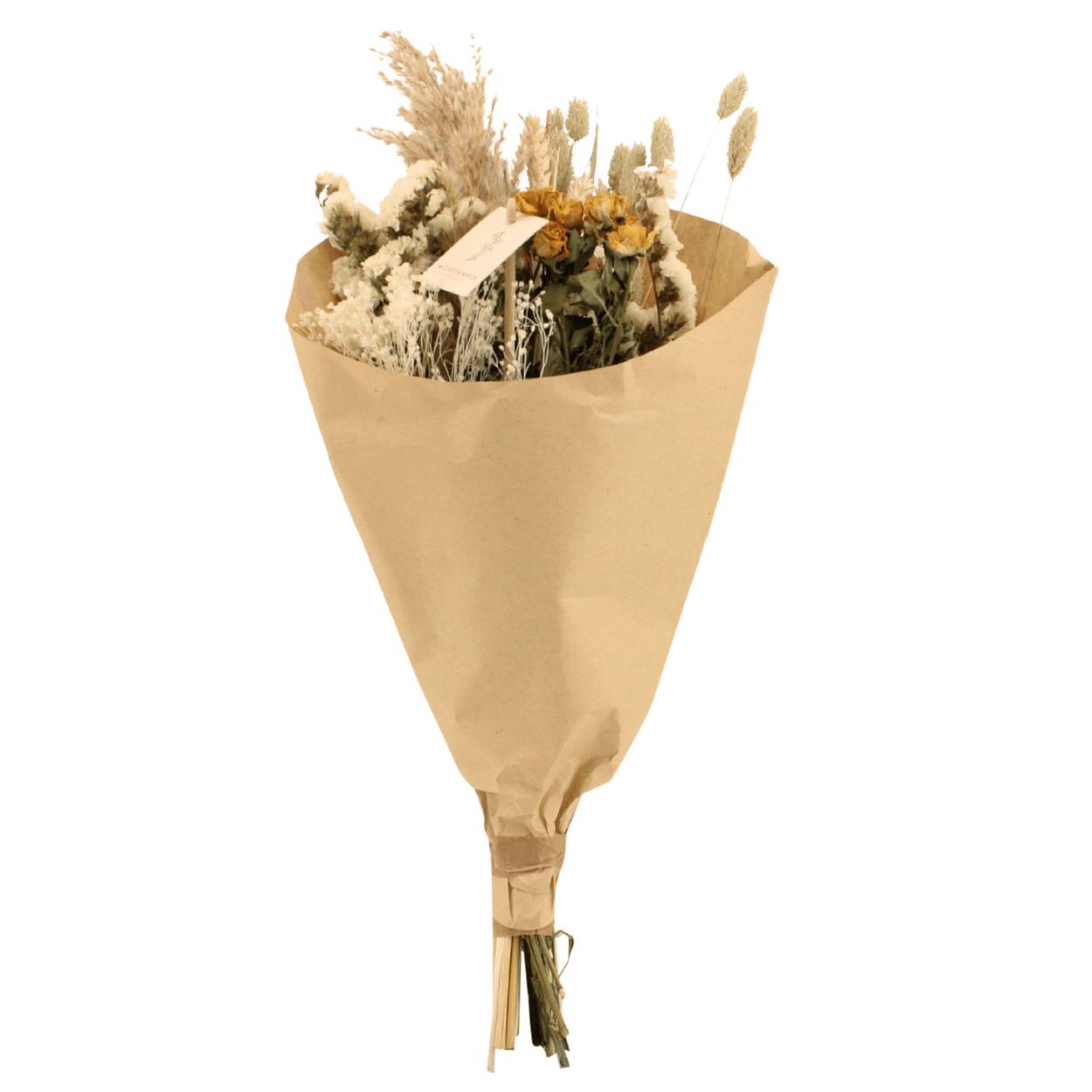 PANGIVO - Bouquet de fleurs séchées végétal naturel beige 20 x 20 x 50 cm - PANGIVO - Image 1
