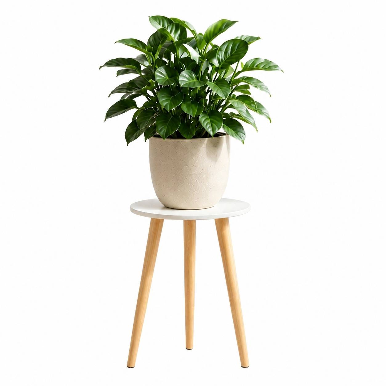 Support Plante Bois Blanc Multifonction Déco Maison Design Moderne - Image 1