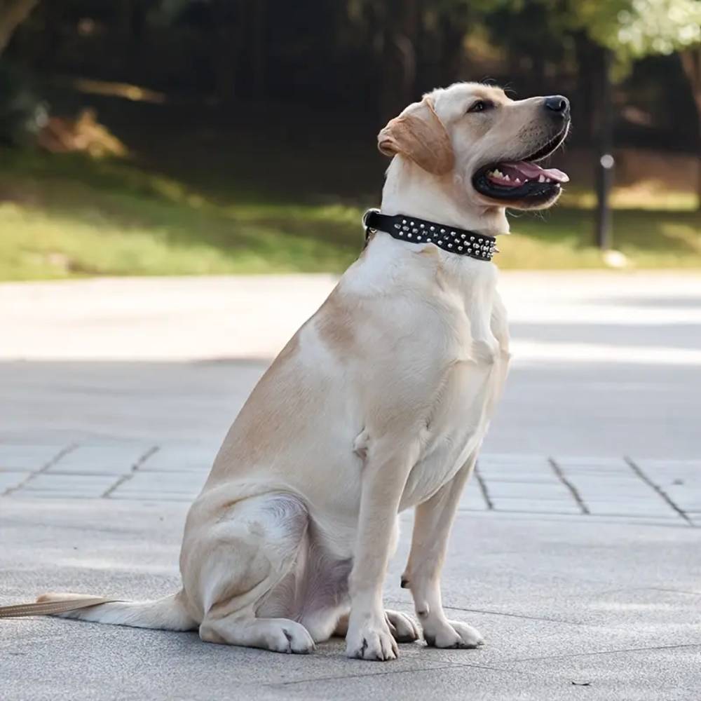 IntiMeg - Muselière en cuir pour chien l - IntiMeg - Image 2