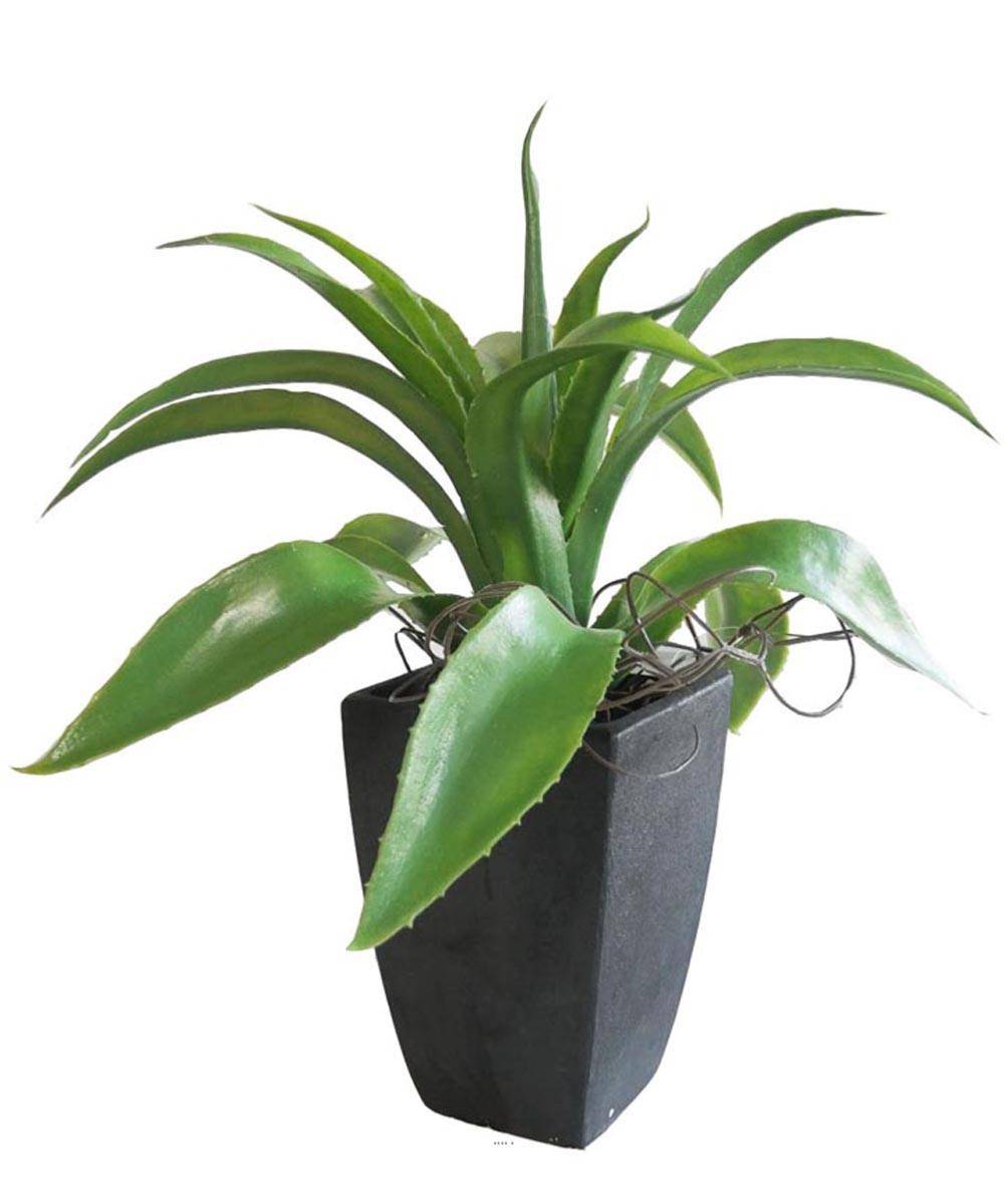 Artificielles - Agave Succulente plante artificielle cactée en pot H 29 cm Vert Type A - couleur: Vert - div: A