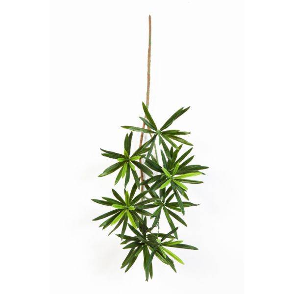 Artificielles - Podocarpus artificiel en piquet 137 feuilles, H 53 cm Vert