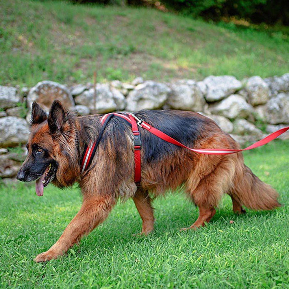 Ferplast - Harnais pour Chiens de Taille Grande DAYTONA CROSS L, Réfléchissant, Rembourrée, avec Boucle Magnétique - Imagen 4