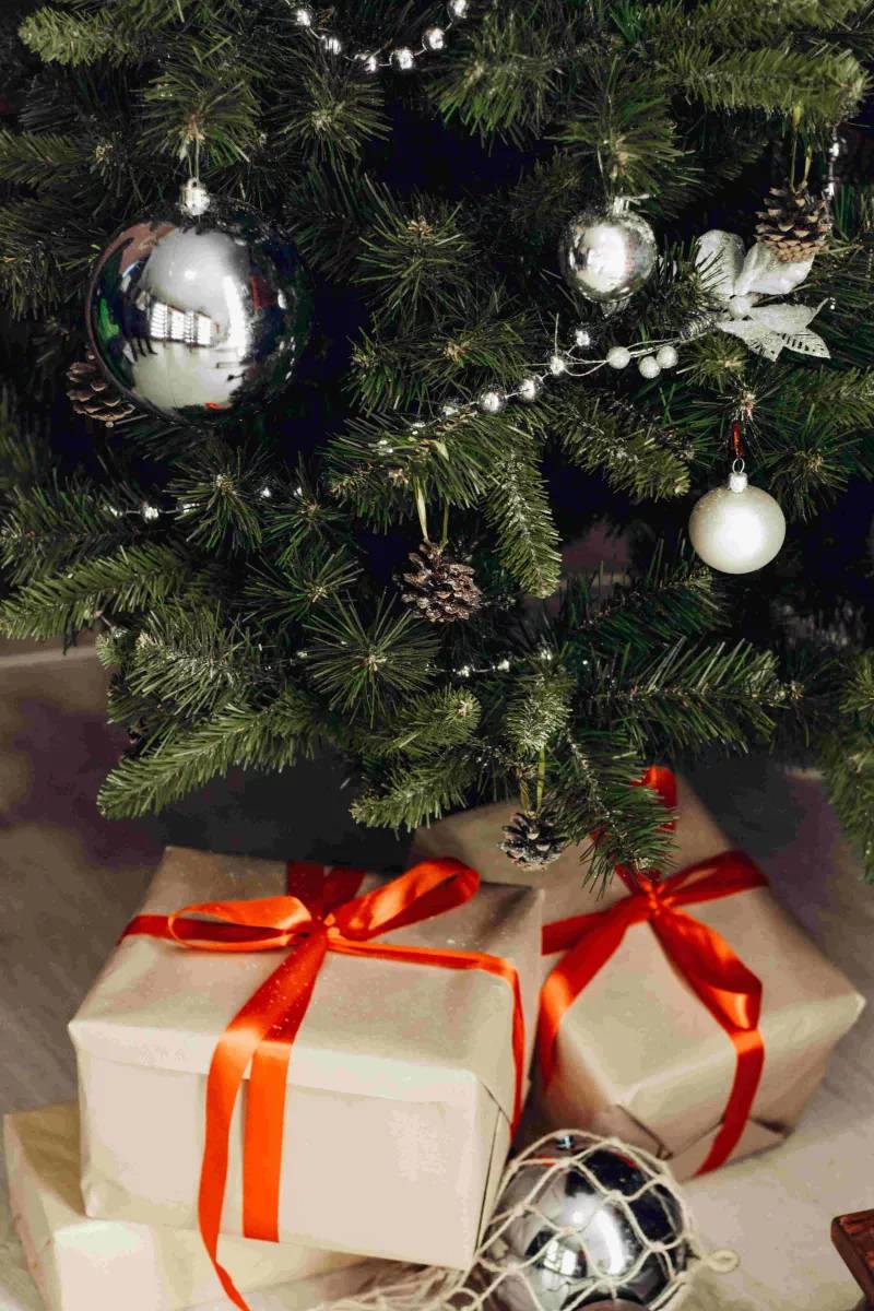 Sapin de Noël naturel Nordmann : 100 à 125cm avec support à réserve d'eau - Imagen 3