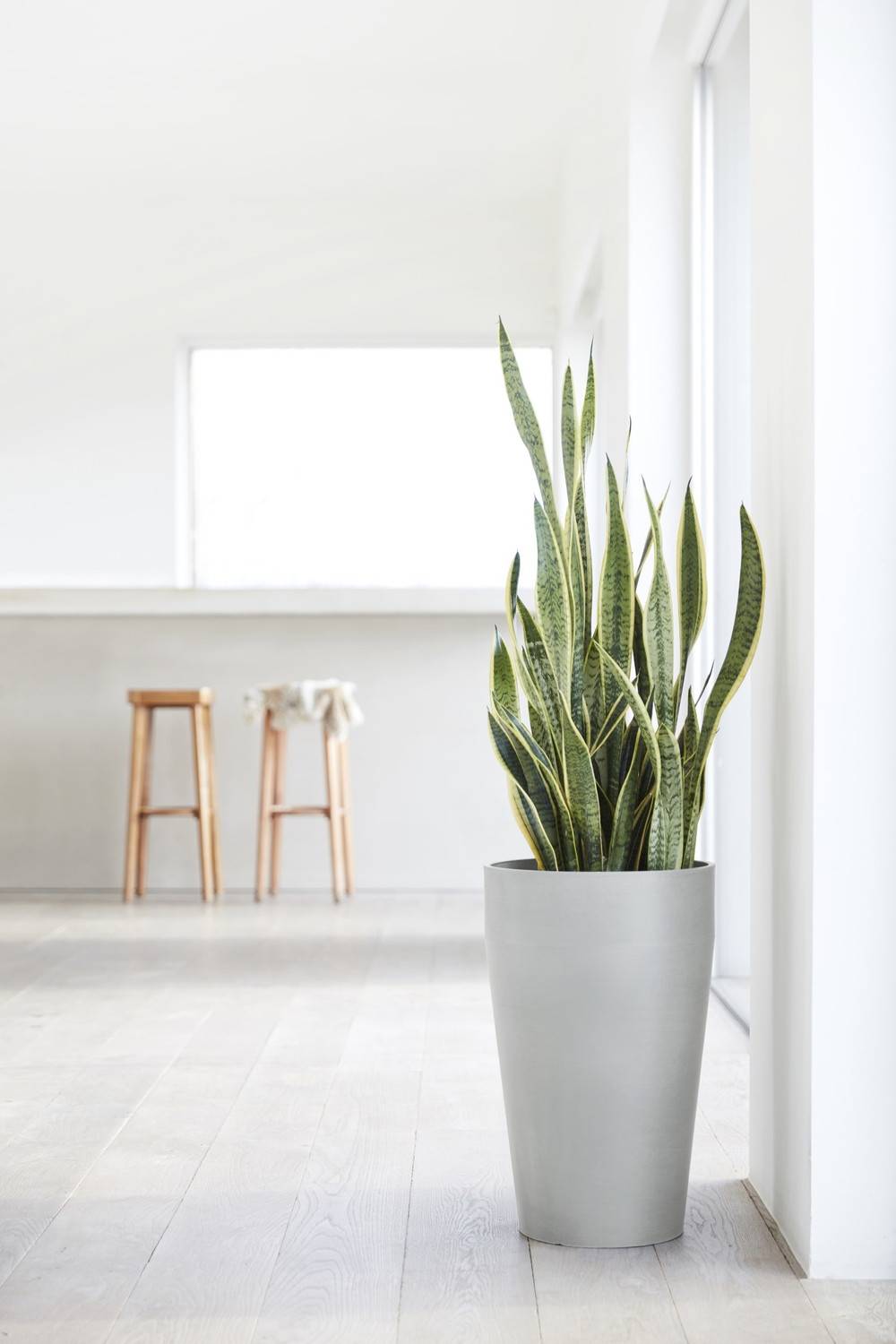 Ecopots - Pot Haut Sankara 75 Blanc Gris - Ø 45 x H. 75 cm - 78 L ECOPOTS - Imagen 5