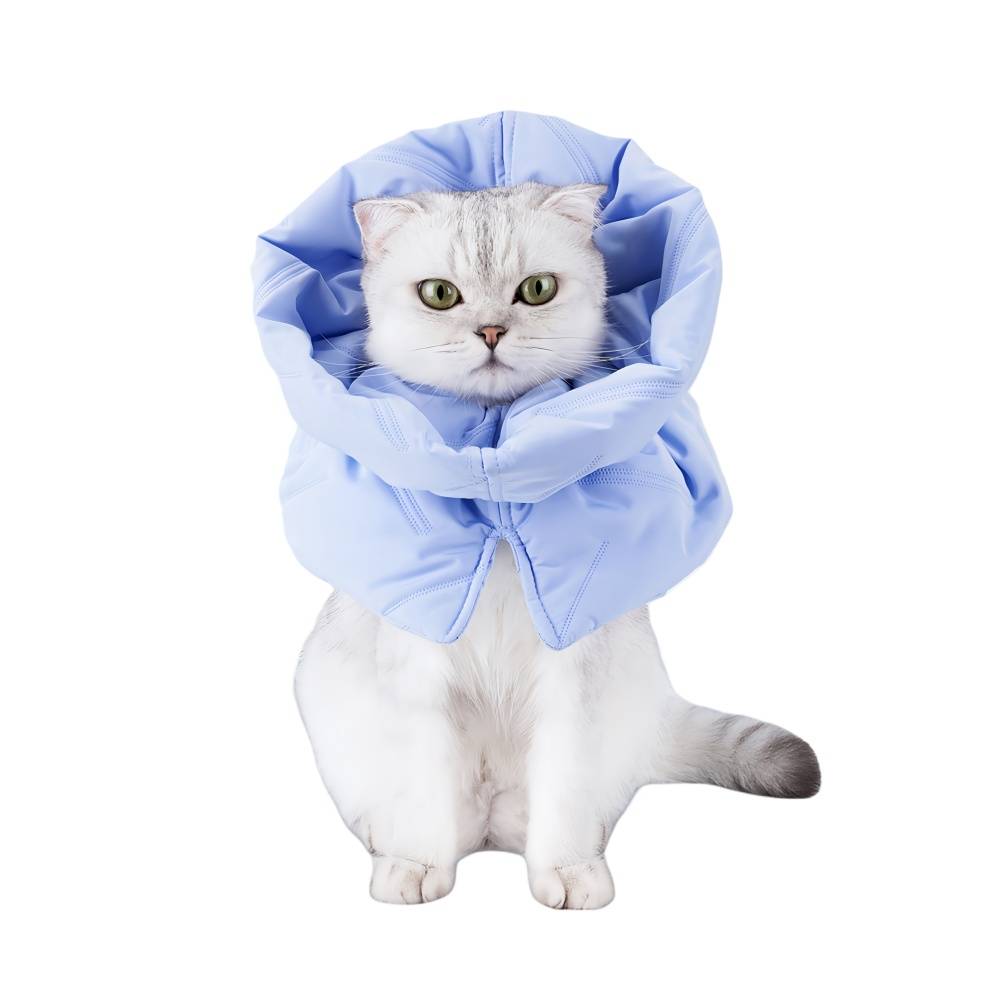 IntiMeg - Collier anti-lèchage pour chat Bleu clair M IntiMeg - Image 1