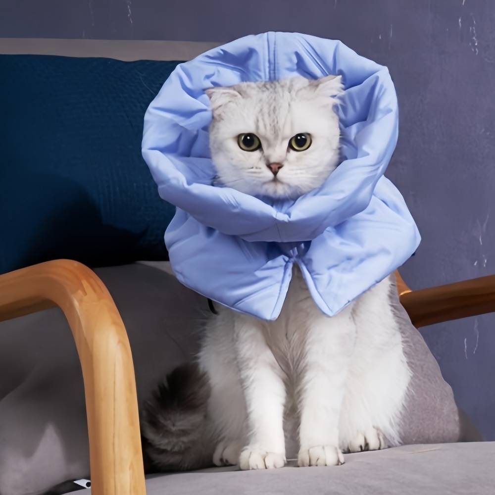 IntiMeg - Collier anti-lèchage pour chat Bleu clair M IntiMeg - Image 7