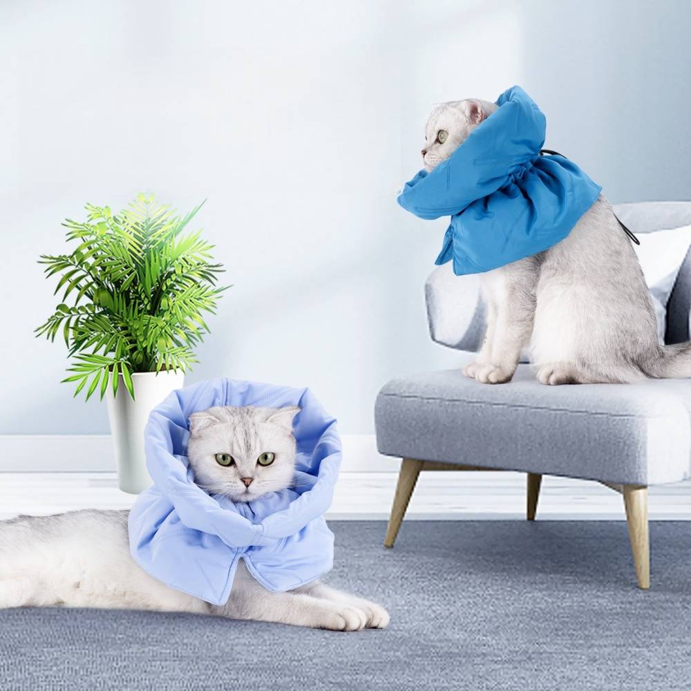 IntiMeg - Collier anti-lèchage pour chat Bleu clair M IntiMeg - Image 3