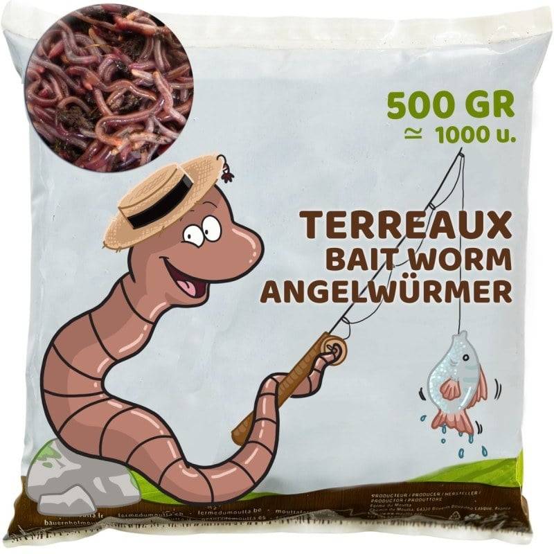 Ferme Du Moutta - Vers de terreau vivants Eisenia pour la pêche, 500 g, environ 800 à 1000 vers - Image 1