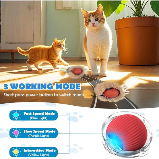 Jouets pour chats-Balle interactive automatique pour chat - 3 vitesses réglables - Rechargeable USB-C - Tapis de jeu inclus - Living123 - Image 4