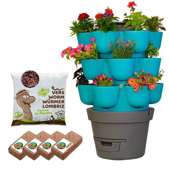 WORMgarden Turquoise 3 jardinières + 500gr de Vers - Image 1