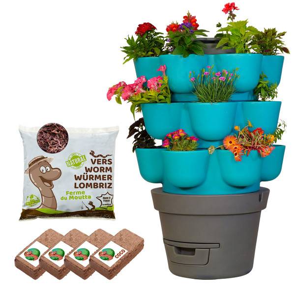 WORMgarden Turquoise 3 jardinières + 500gr de Vers - Image 1