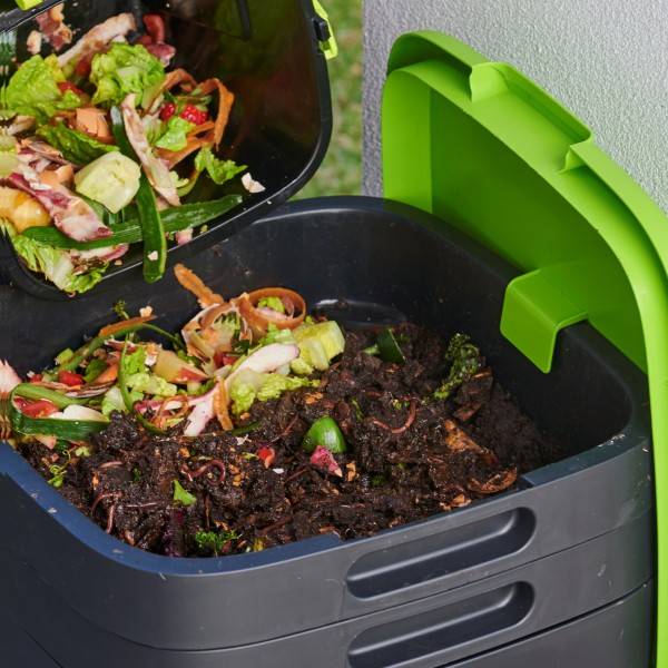 Ferme Du Moutta - Moutta I TinyWorm Design & Compact I Lombricomposteur 3 Plateaux I Kit Complet I Tiroir Coulissant I Pieds Bois Massif - Imagen 5