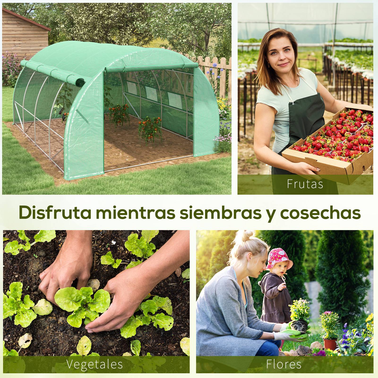 Serre Tunnel 12m² Acier Galvanisé avec Parois Latérales Enroulables 4x3x2 m Vert - ComfortXL Outdoor Living - Image 9