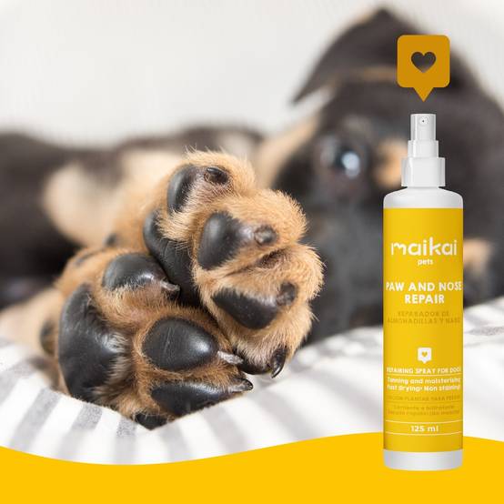 Baume Naturel en Spray pour Coussinets de Chien et chat - Protection et Soin - MAIKAI - Image 5