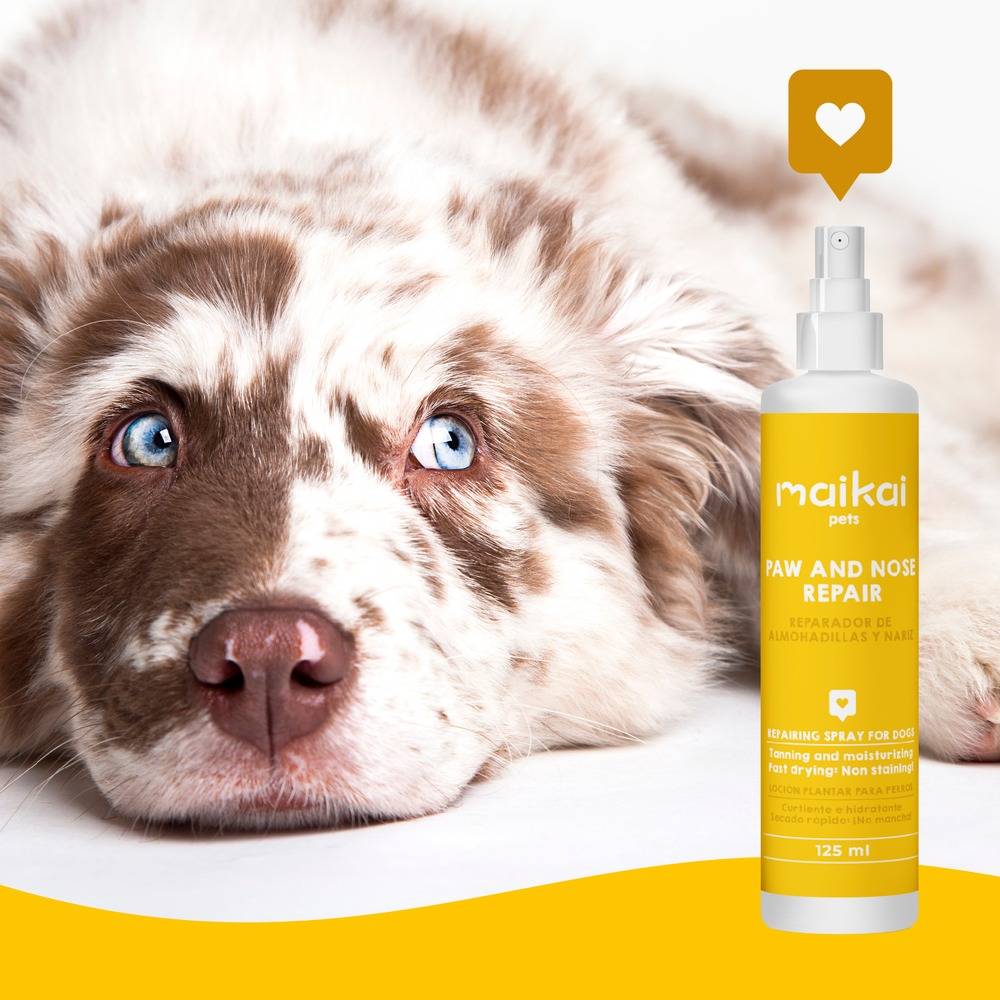 Baume Naturel en Spray pour Coussinets de Chien et chat - Protection et Soin - MAIKAI - Image 6