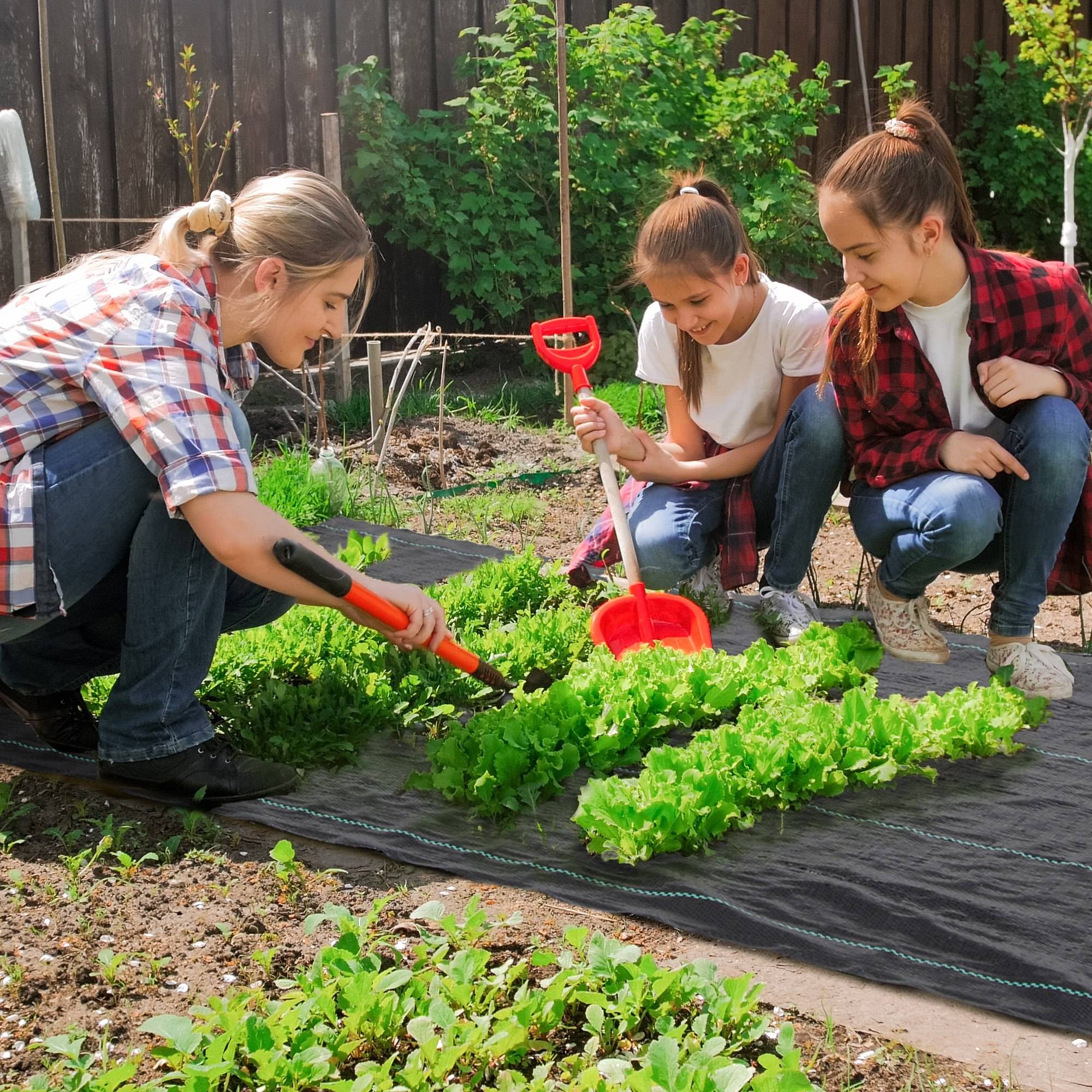 ComfortXL - Toile de paillage en polypropylène noir 2 x 100 m 60 g/m² pour jardin et potager contre les mauvaises herbes - Image 1