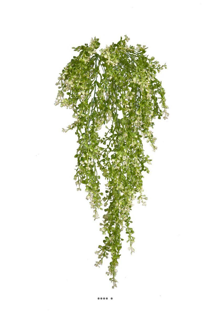 Artificielles - Chute de crassula artificiel H 85 cm - Imagen 2