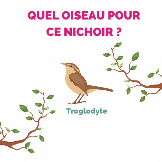Esschert Design - Esschert Design - Nichoir Troglodyte - Image 4