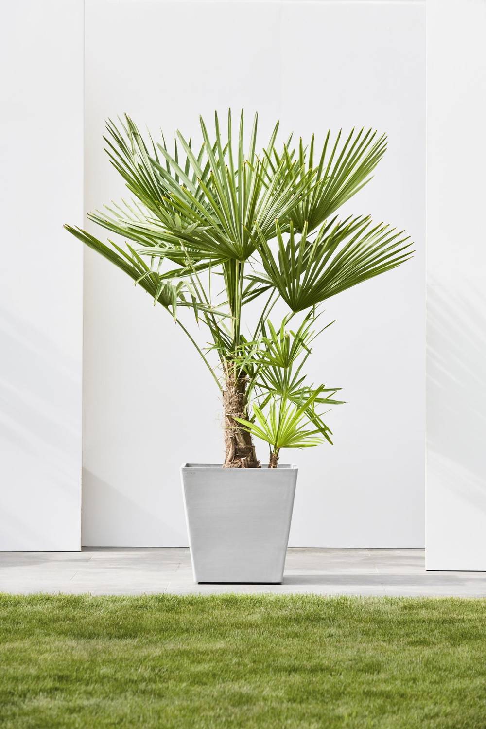 Ecopots - Grand pot sur roues Rotterdam 50 Blanc Gris - 50 x 50 x H. 49,2 cm - 76,3 L ECOPOTS - Imagen 4