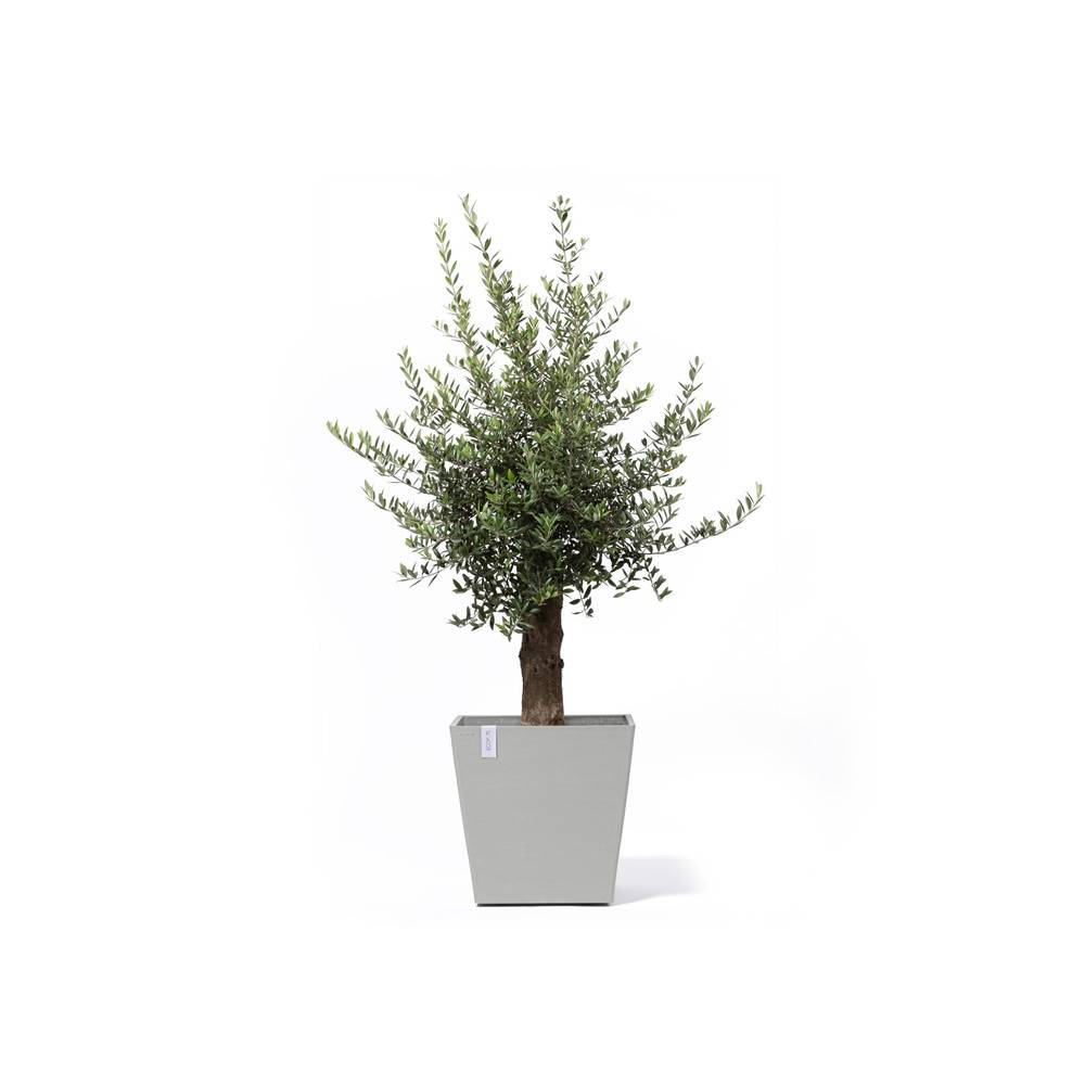 Ecopots - Grand pot sur roues Rotterdam 50 Blanc Gris - 50 x 50 x H. 49,2 cm - 76,3 L ECOPOTS - Imagen 1