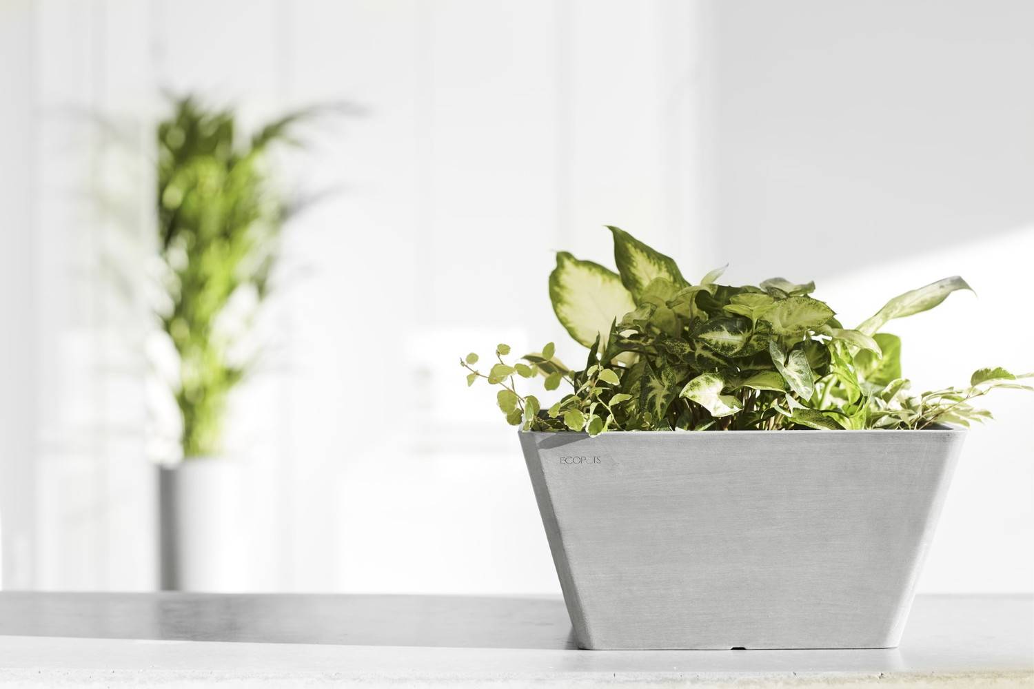 Ecopots - Pot Carré Berlin 30 Blanc Gris - 31 x 31 x H. 15,5 cm - 10 L ECOPOTS - Imagen 5