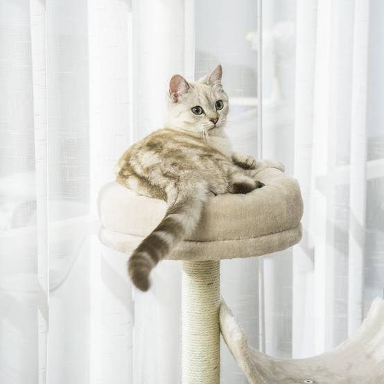 Arbre à chat avec griffoir, jouets et tunnel, beige, 50 x 40 x 105 cm, pour les amoureux des chats et des moments de jeu amusants. - Image 8