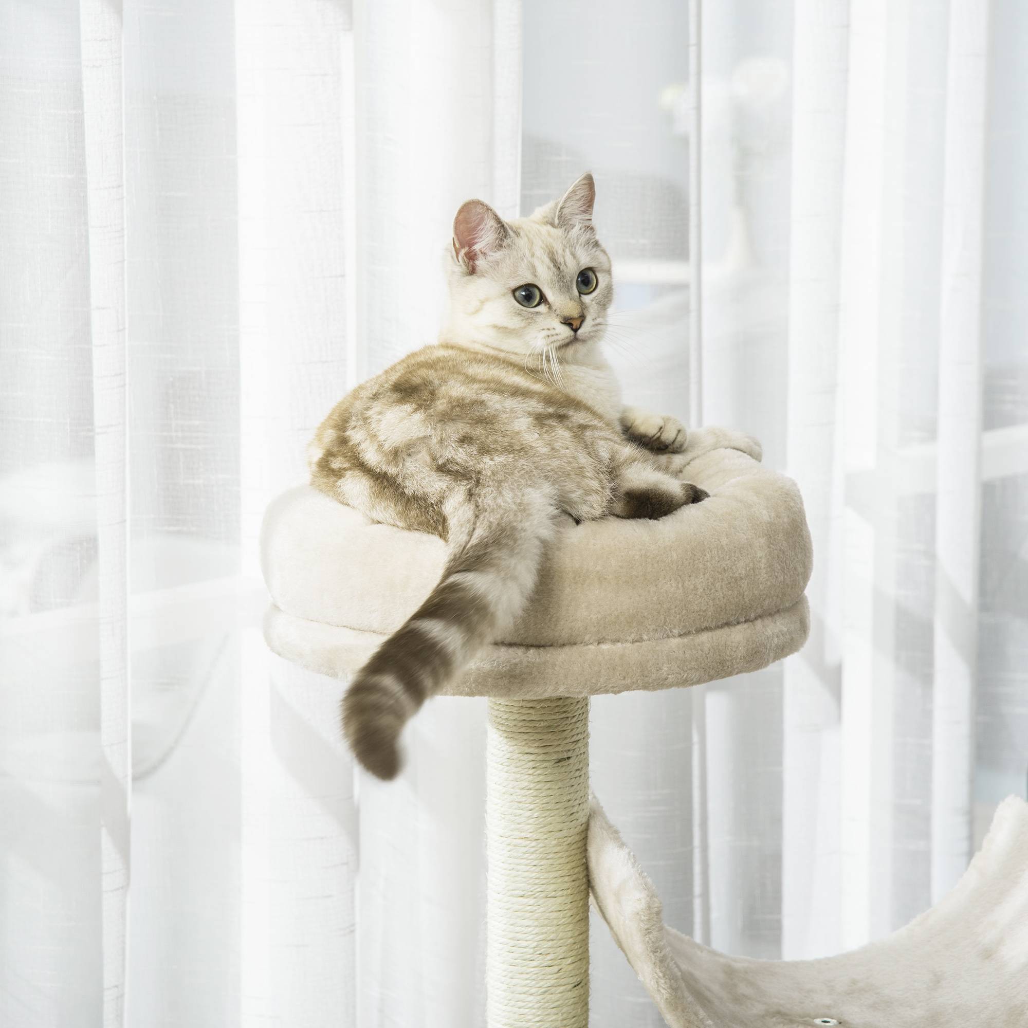 Arbre à chat avec griffoir, jouets et tunnel, beige, 50 x 40 x 105 cm, pour les amoureux des chats et des moments de jeu amusants. - Image 8