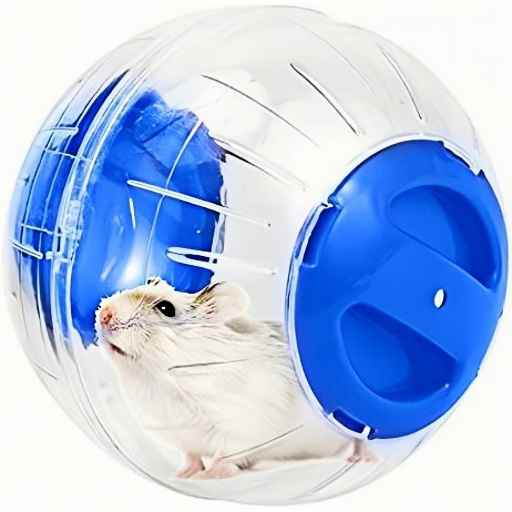 DtopbuyAge - Balle d'exercice pour hamsters, rats et gerbilles DtopbuyAge - Image 1