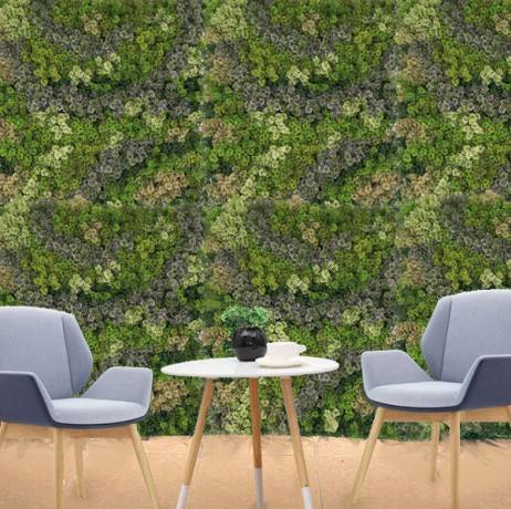 James Grass - France Green - Mur végétal artificiel Mousse 1m x 1m, Long 10 m - Imagen 2