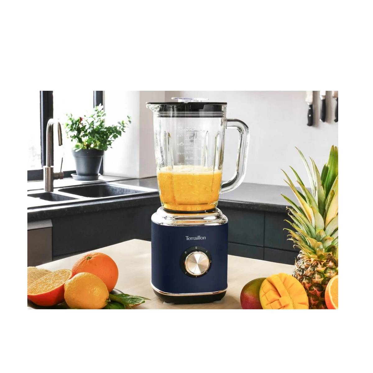 Blender 1.75l 1000w bleu nuit 15442 Terraillon - Image 3