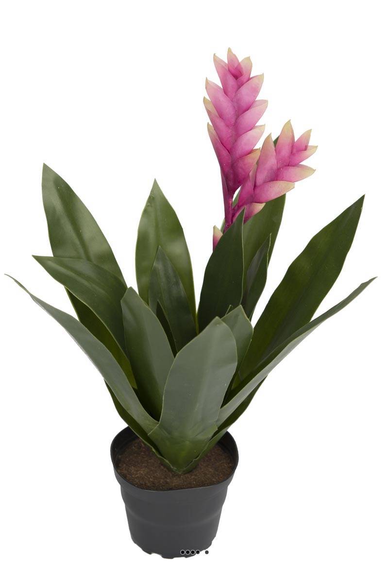 Artificielles - Bromélia fleurie artificielle en pot, H 40 cm Rose soutenu - couleur: Rose soutenu - Imagen 1