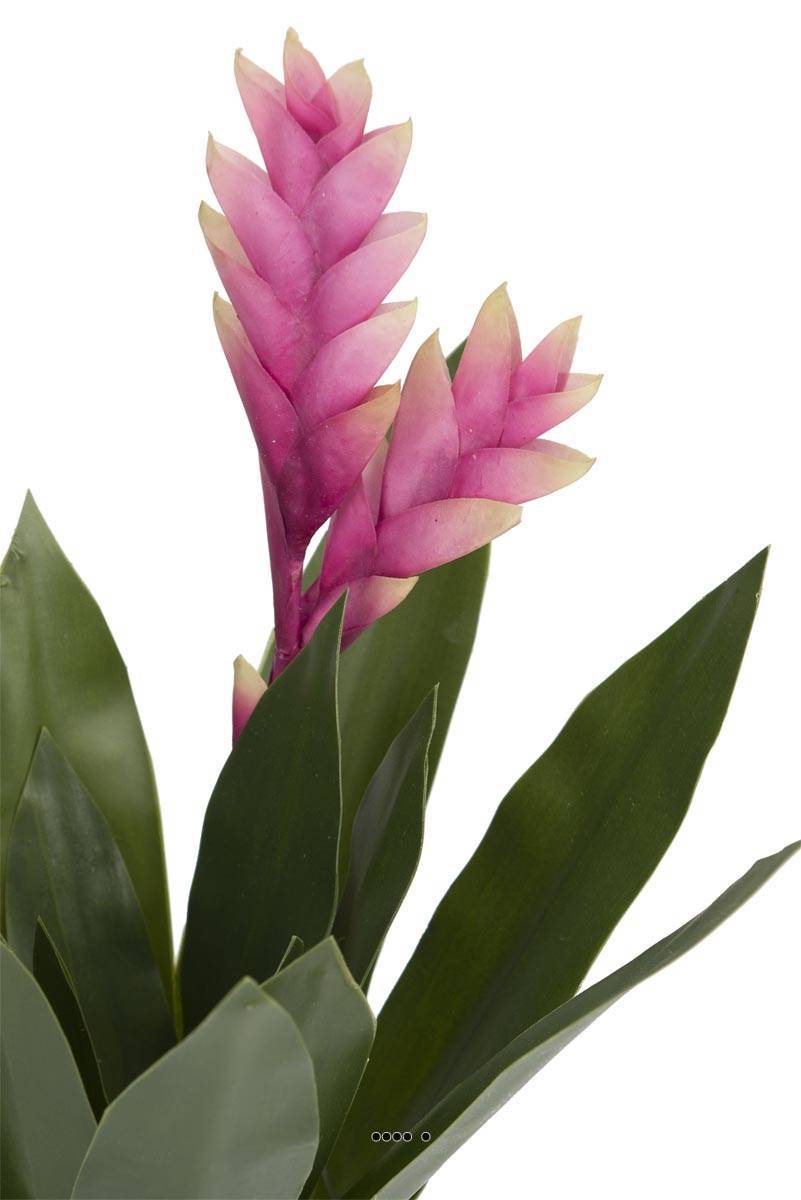 Artificielles - Bromélia fleurie artificielle en pot, H 40 cm Rose soutenu - couleur: Rose soutenu - Imagen 3