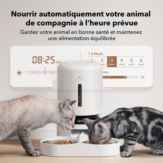Distributeur de croquettes automatique Blanc - 5L - Granary Dual Food Petlibro - Image 2