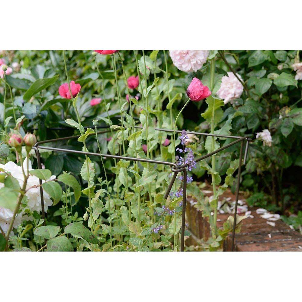 Harrod Horticultural - Support à plantes en acier (Lot de 6) 60 cm Harrod Horticultural - Imagen 2