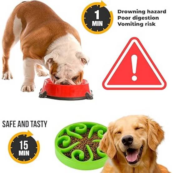 DtopbuyAge - Gamelle Anti Glouton Vert Plateau Interactif Pour Animaux Compagnie - Image 2