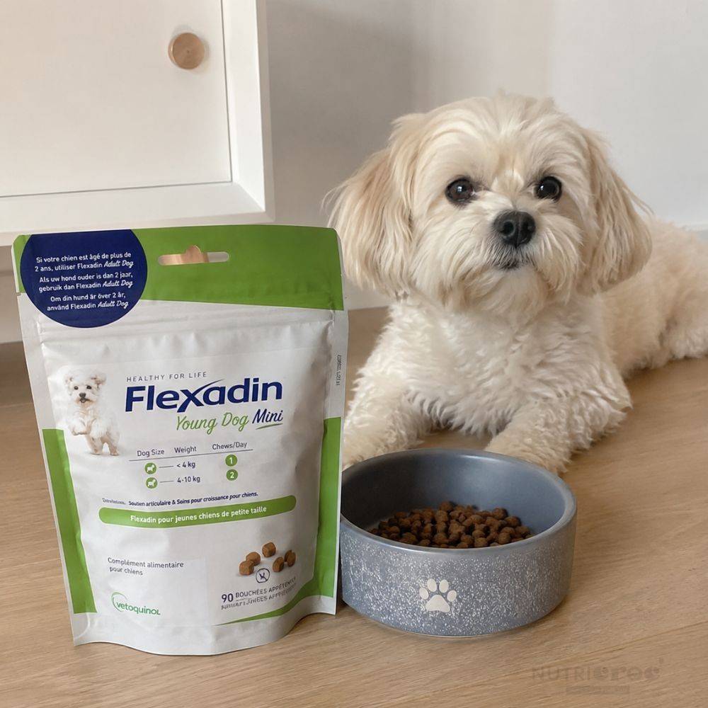 Flexadin Young Dog Mini 60 Comprimés à Mâcher pour Chiot 60 bouchées - Image 3