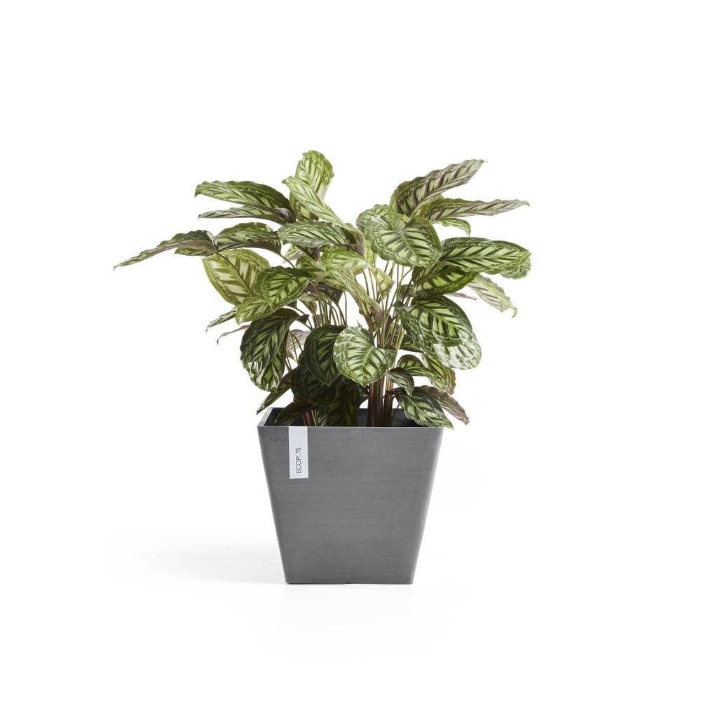 Ecopots - Pot Carré Rotterdam 50 Gris - 50 x 50 x H. 44 cm - 75 L ECOPOTS - Imagen 3