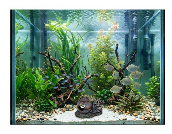 Décoration aquarium tonneau cassé gouvernail cachette pour poisson - Image 3