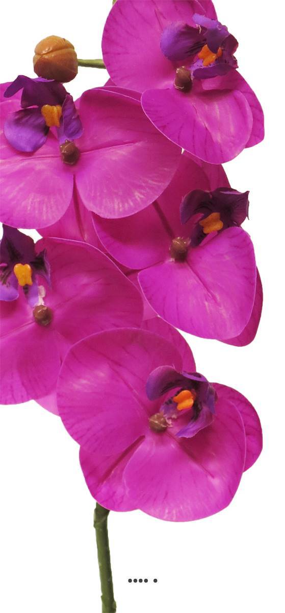 Artificielles - Tige orchidée phalaenopsis faux 5fleurons touché réelH58cmPourpre-BEST - couleur: Pourpre - Imagen 3