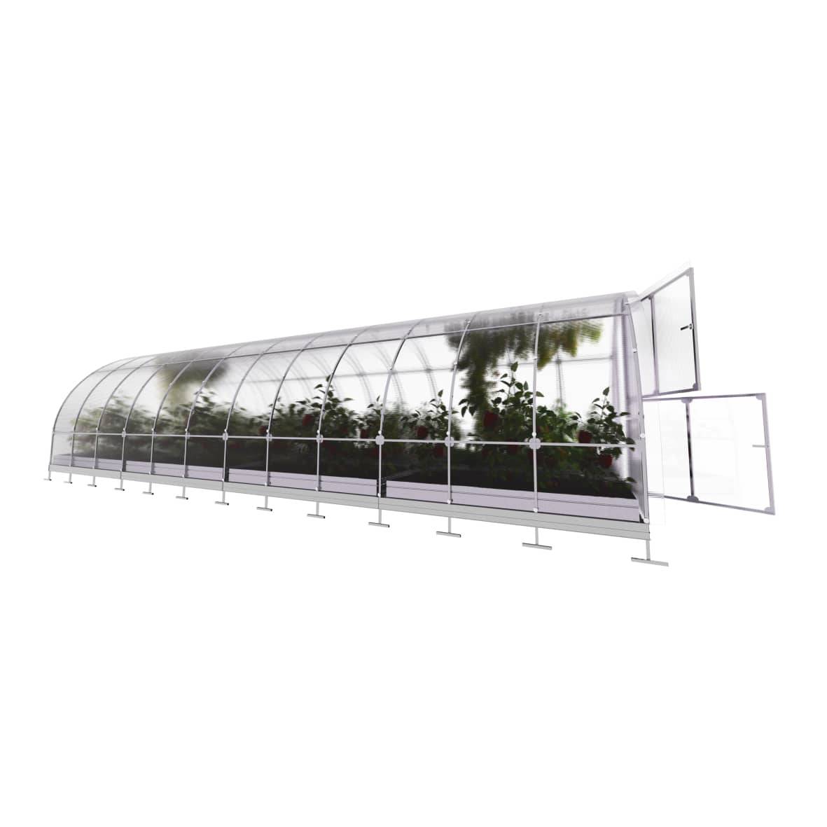 KLASIKA GREENHOUSES - Serre KLASIKA TUBE 3 x 8 m (24 m²), 6 mm avec revêtement en polycarbonate - Image 4