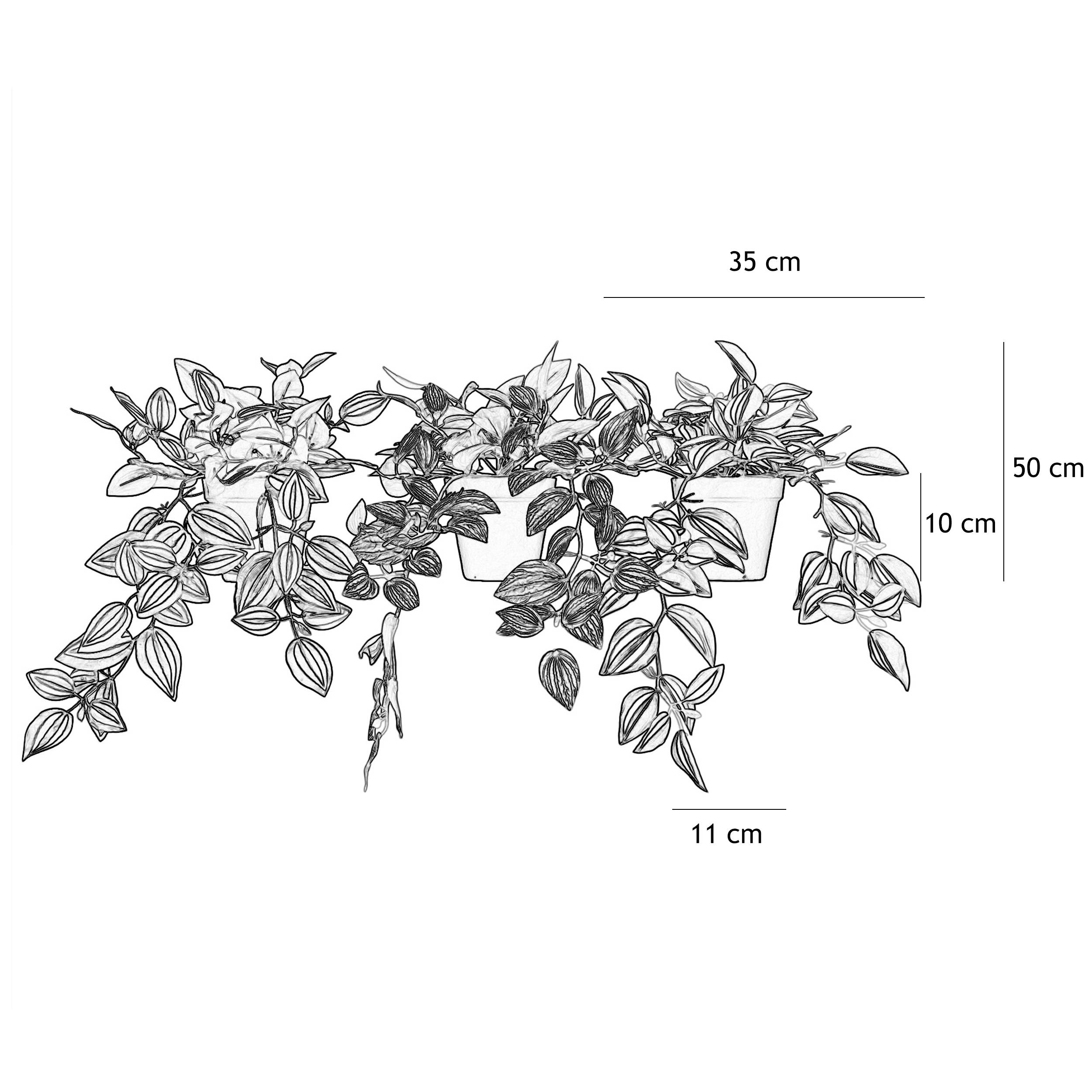 Ligne Deco - Plante verte artificielle tombante 50cm lot de 3 - Image 9