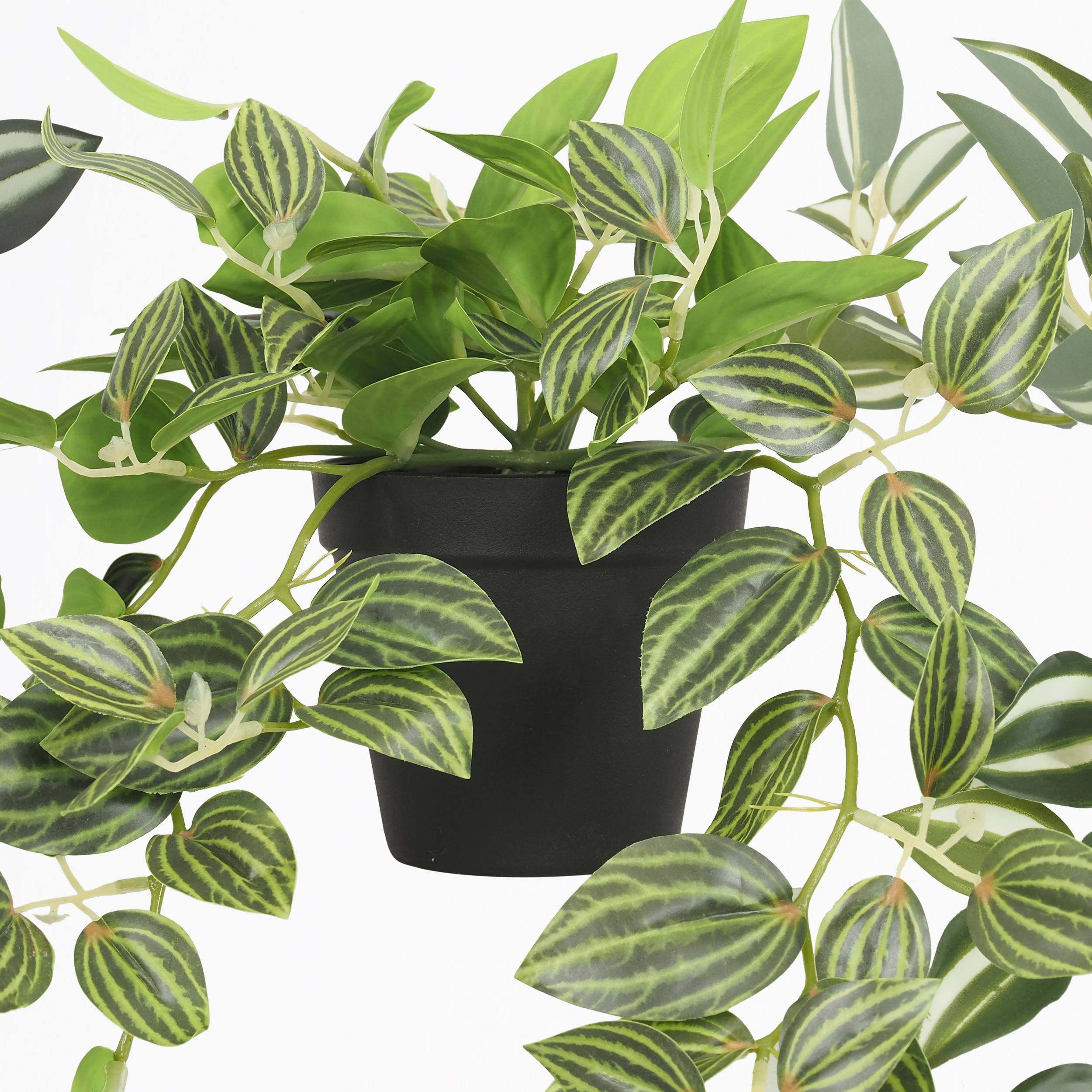 Ligne Deco - Plante verte artificielle tombante 50cm lot de 3 - Image 6