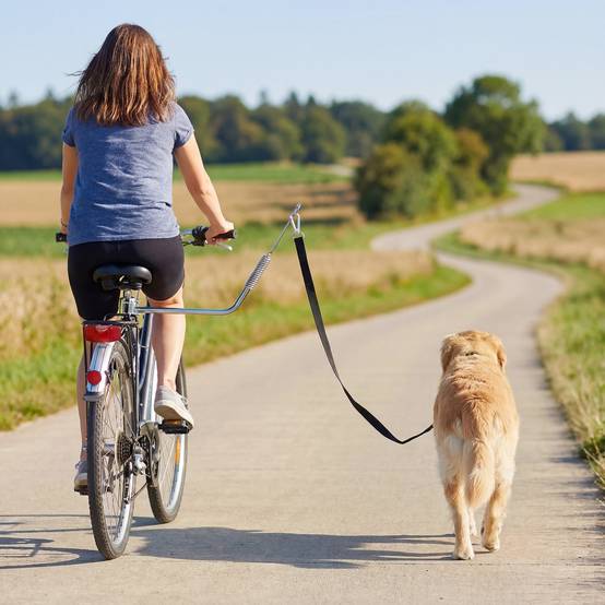 Sans Marque - Laisse vélo chien amortisseurs sangle réglable amovible attache rapide entraînement/jogging argent/noir - Image 4