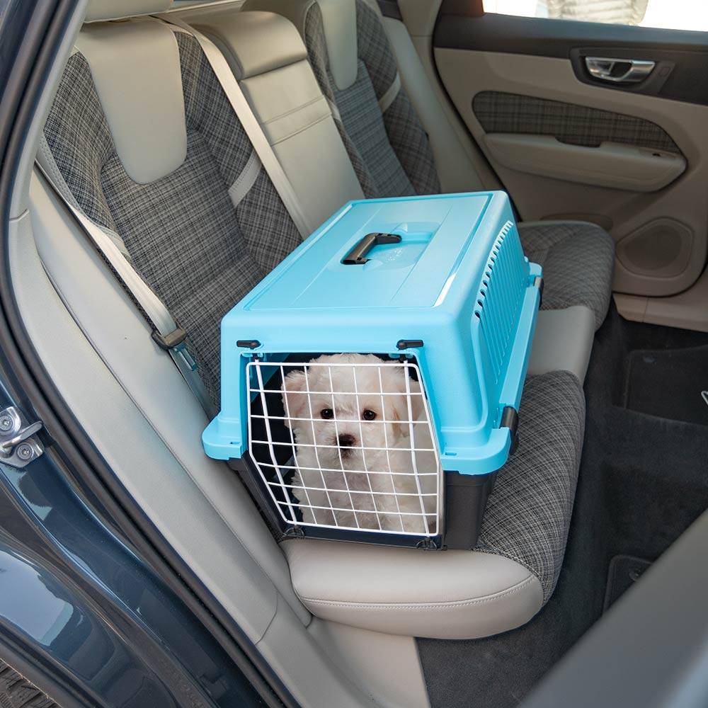 Ferplast - Ferplast Caisse de Transport Chat, Cage de Transport pour Chiens Petits et Chats jusqu'à 8 Kg, Porte en Fer Plastifié, Fentes d'aération, 37 x 58 x h - Imagen 3