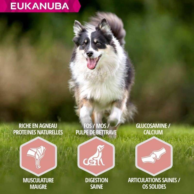 Eukanuba - CROQUETTES CHIEN SENIOR AGNEAU SMALL / MEDIUM - EUKANUBA 2,5 kg - Imagen 4