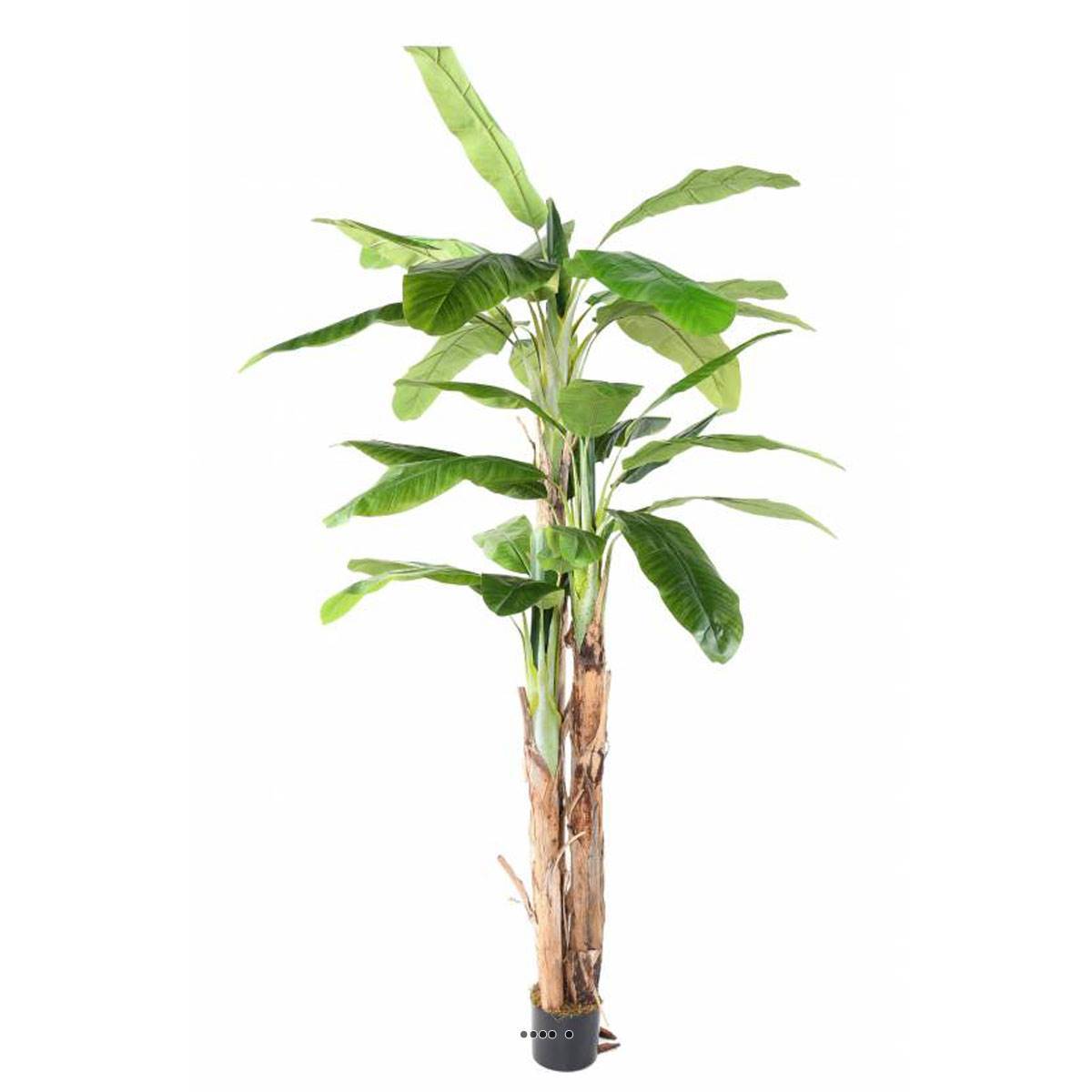 Artificielles - Bananier artificiel en pot 3 Troncs naturel H 240 cm Vert - dimhaut: H 240 cm - couleur: Vert