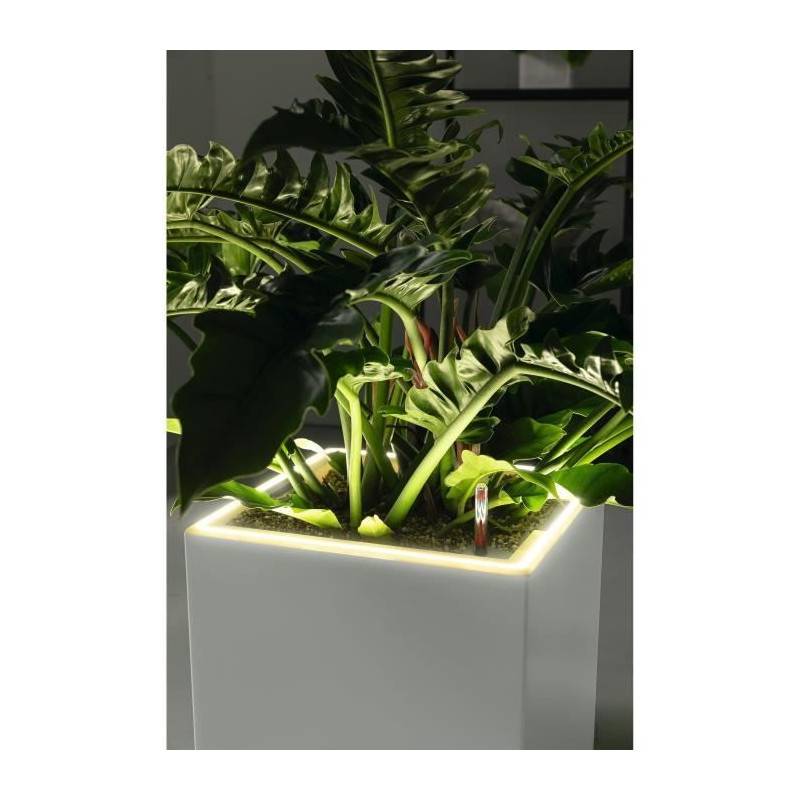 Lechuza - Pot De Fleur Lechuza Canto Premium Cube 40 - Kit Complet Led, Anthracite Métallisé - Imagen 5